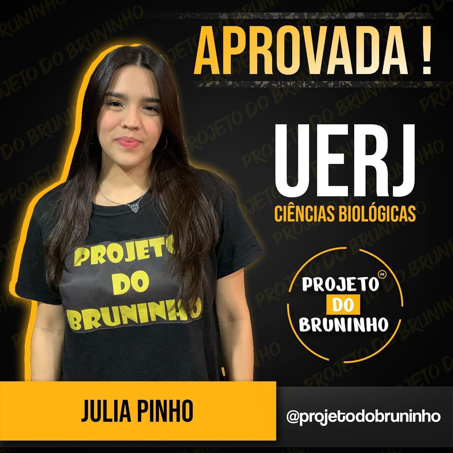 aprovado técnico